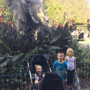 Meet your Posher, Ashley